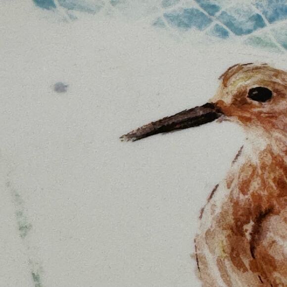 Pier 1 sandpiper bird ocean 8" plates (4) - Picture 7 of 11